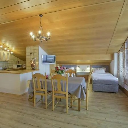 Апартаменты Golden Gapa Studio Penthouse 12